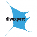 DIVEXPERT - Logo