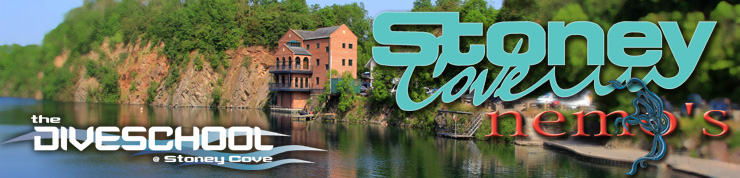 Logo The Dive School at Stoney Cove