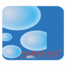 Logo VARADERO DIVE