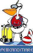 Logo Pellicano Mare Acqua Service
