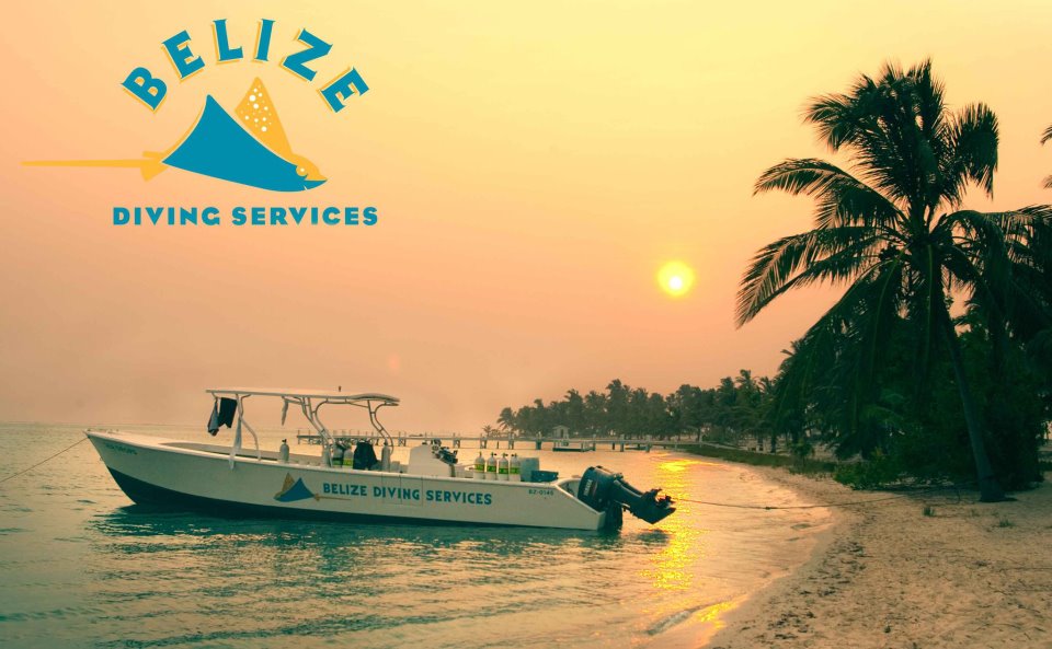 Logo Belize Diving Services Ltd.