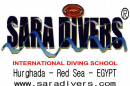 Sara Divers - Logo