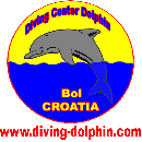 Logo DOLPHIN