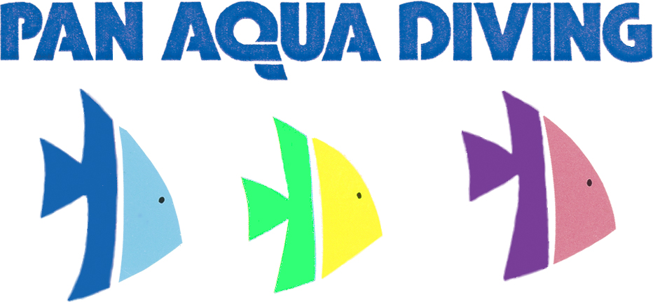 Pan Aqua Diving, Inc. - Logo