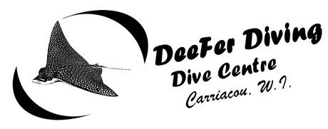 Logo Deefer Diving