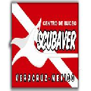 Scubaver - Logo