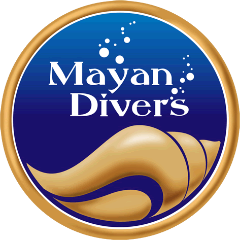 Logo Mayan Divers
