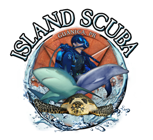 Logo Island Scuba
