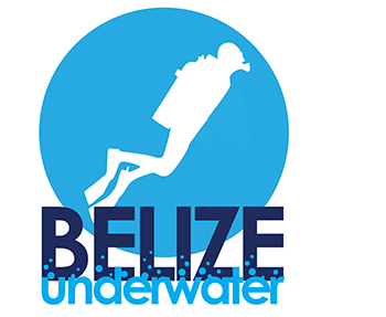 Logo Belize Underwater - Hopkins