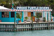 Logo Art Pickering's Provo Turtle Divers