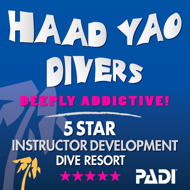 Logo Haad Yao Divers