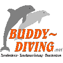 Logo Tauchschule Buddy-Diving