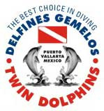 Twin Dolphins Dive Center - Logo
