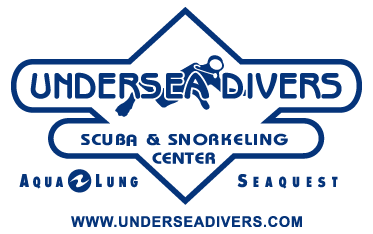 Undersea Divers, Inc. - Logo