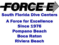 Force-E Scuba - Logo