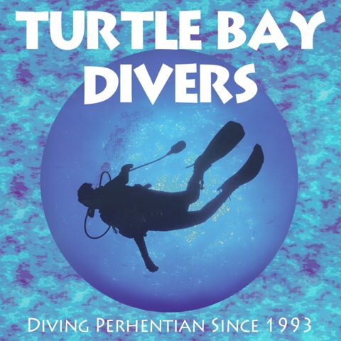 Logo Turtle Bay Divers