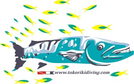 Logo Tokoriki Diving