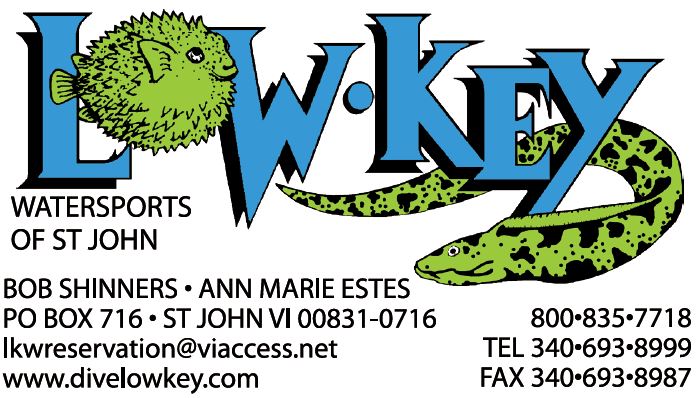 Logo Low Key Watersports