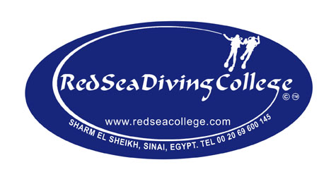Red Sea Diving College - Logo