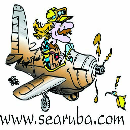Logo S.E. Aruba Fly'n Dive NV