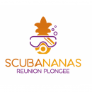 Logo Reunion Plongee
