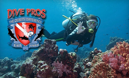 Logo Gulf Coast Dive Pros