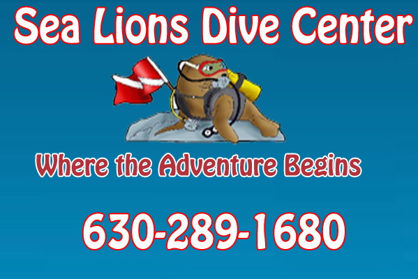 Sea Lions Dive Center - Logo