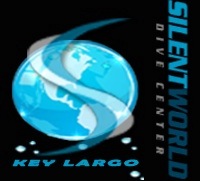 Silent World - Logo