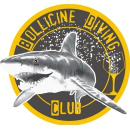Logo BOLLICINE DIVING CLUB