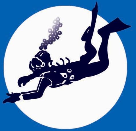Logo Pearl Divers