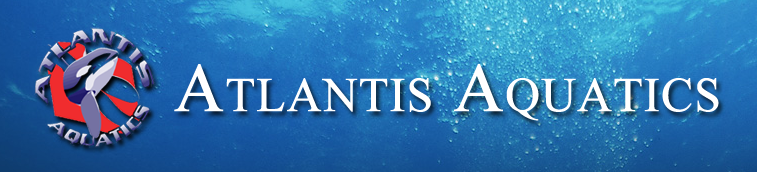 Atlantis Aquatics - Logo