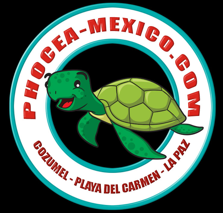 Logo Phocea Mexico Playa