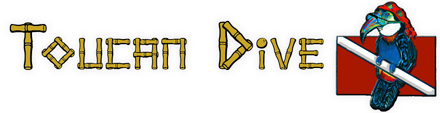 Logo Toucan Dive