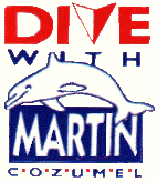 Dive With Martin - Logo