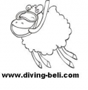 Logo Diving-Beli