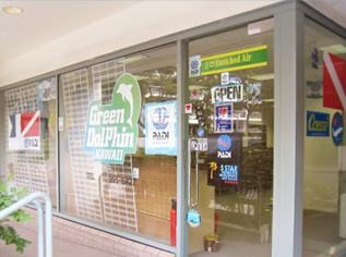 Logo Green Dolphin Dive Shop