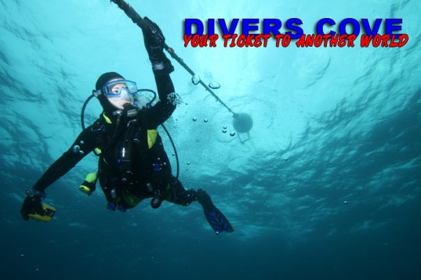 Divers Cove - Logo