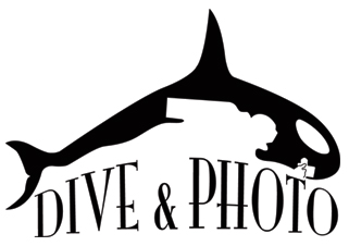 Logo Dive and Photo