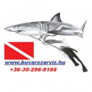 Logo Picco Buvarserviz