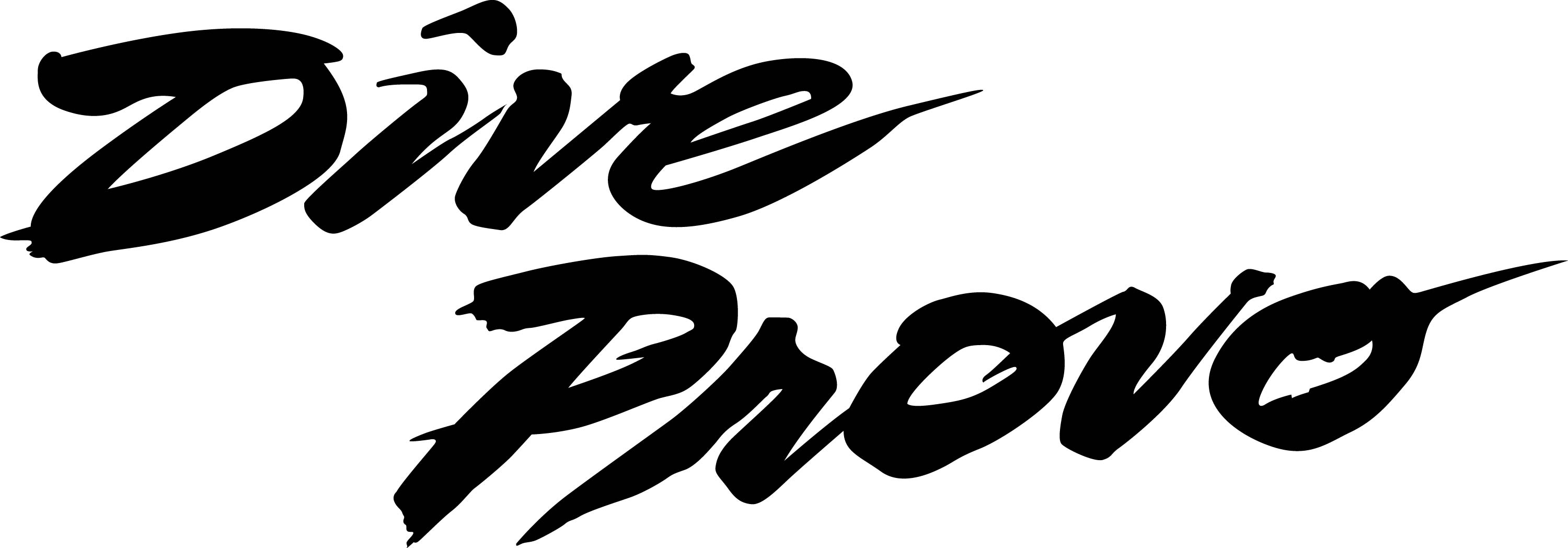 Logo Dive Provo