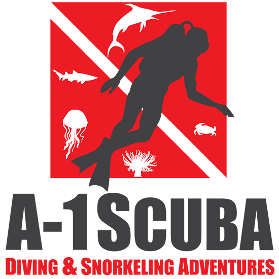 Logo A-1 Scuba Diving & Snorkeling Adventures