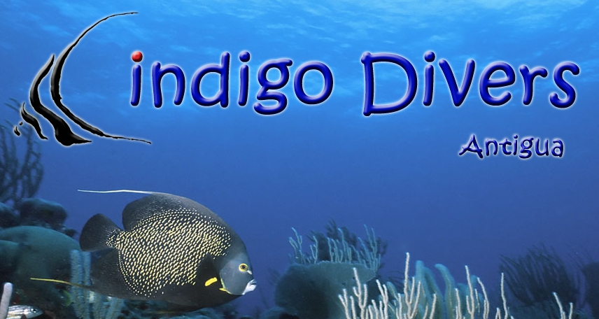 Logo Indigo Divers, Antigua