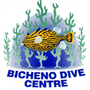 BICHENO DIVE CENTRE - Logo