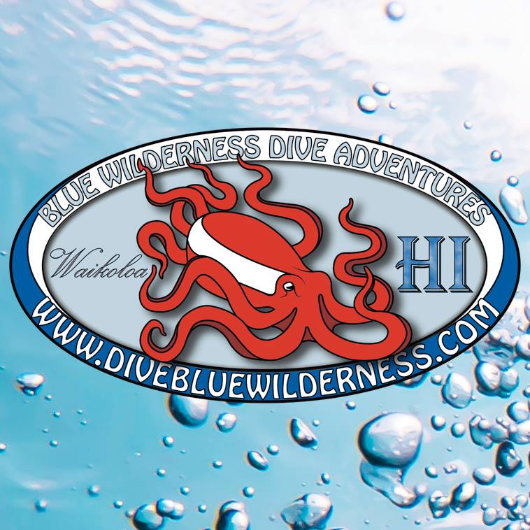 Logo Blue Wilderness Dive Adventures Corp.