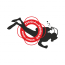 Logo Buzios - Assoc. Nadadores Salvadores Coruche