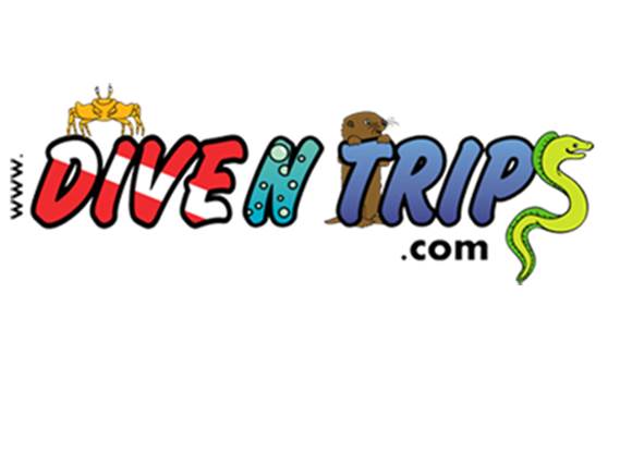 Logo Dive N Trips