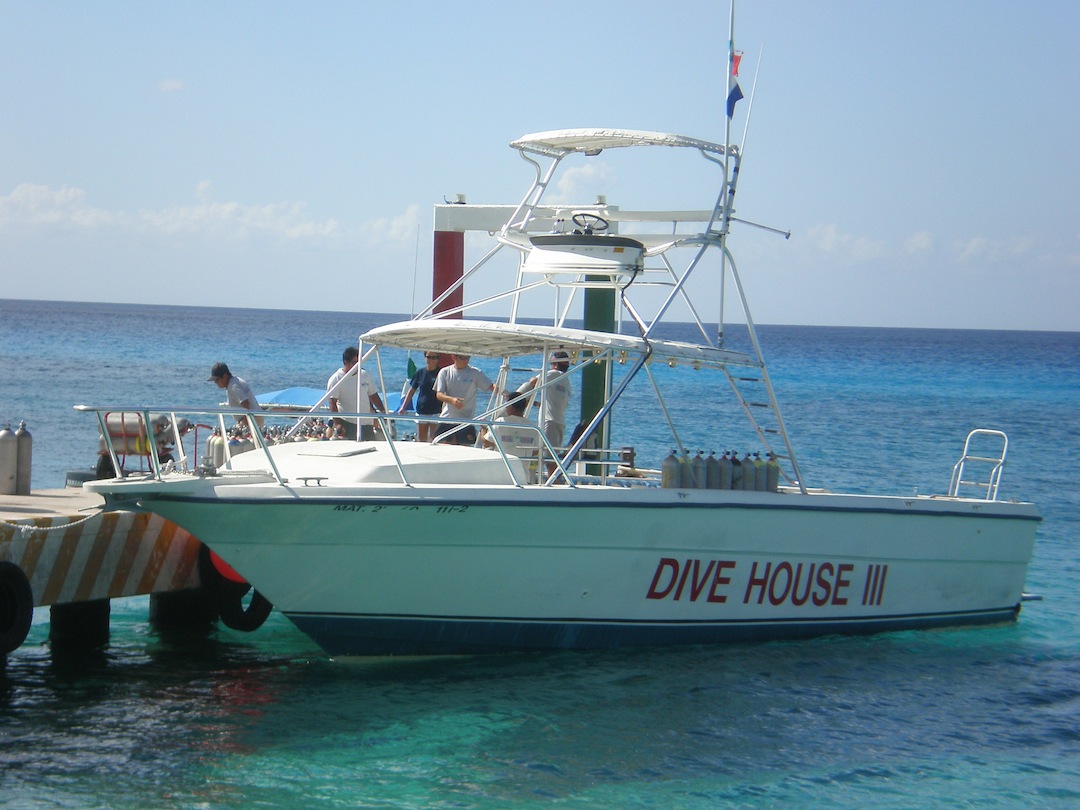 Dive House - Logo