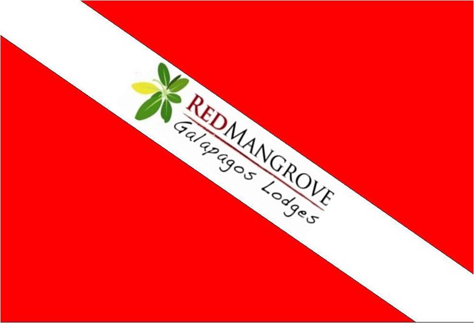 Logo Red Mangrove Dive Center
