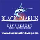 BLACK MARLIN DIVE RESORT - Logo