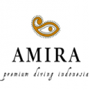 AMIRA - Logo